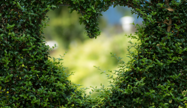 Vertikal Garden di Dalam Rumah? Kenapa Tidak!